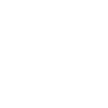 Vision
