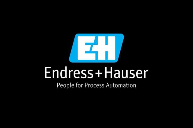 Endress+Hauser logo